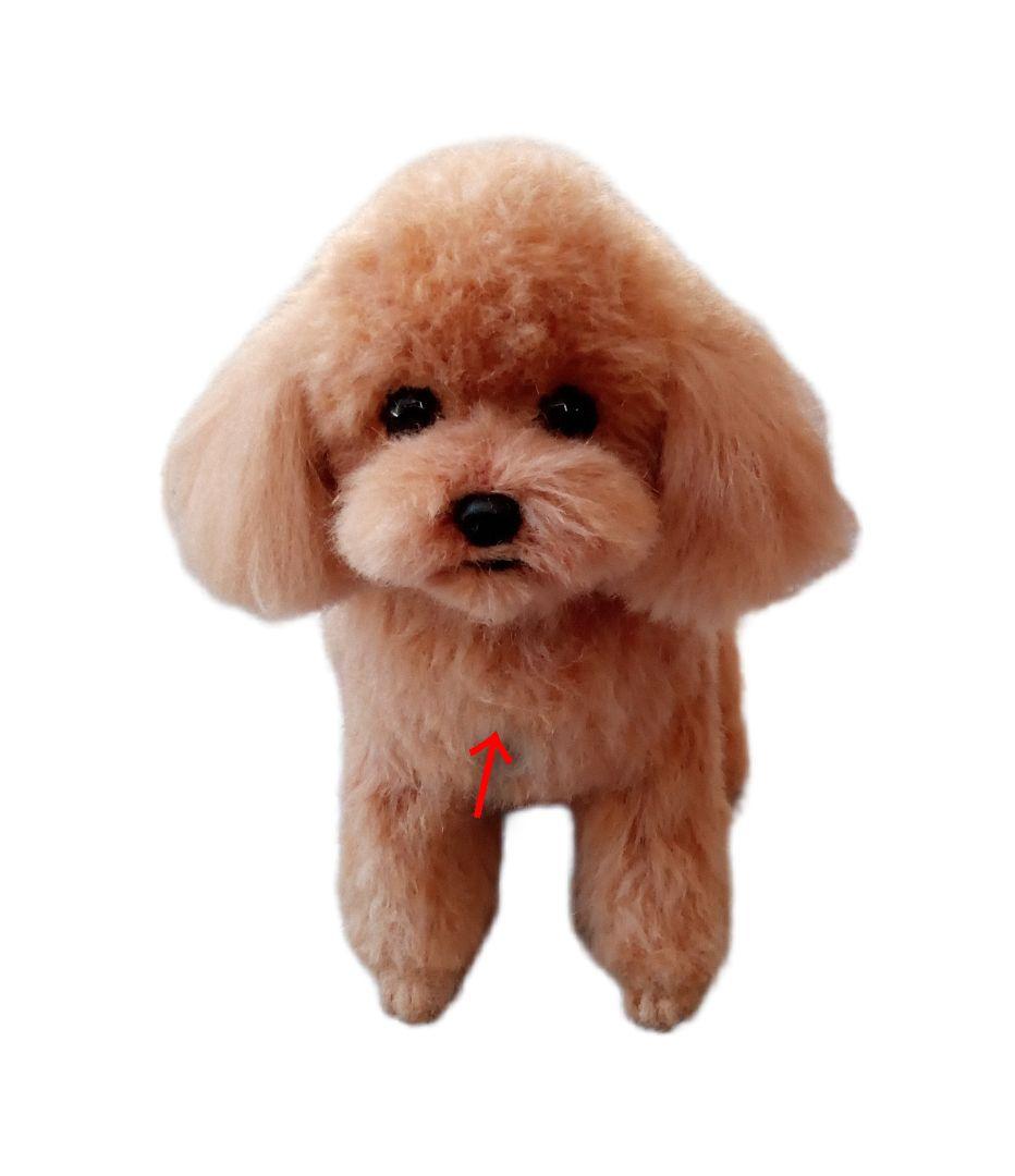 愛犬さんの羊毛フェルトオーダー・Ryzen様ご確認専用ページ