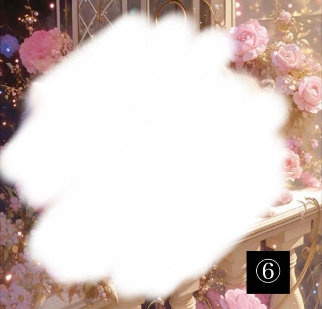 ハンドメイド　オーダーページ　パネル　トートバッグ　ポーチ　ポメラニアン