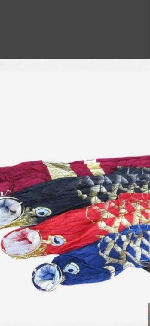 手染　廣重　伝統太郎鯉 5Mセット