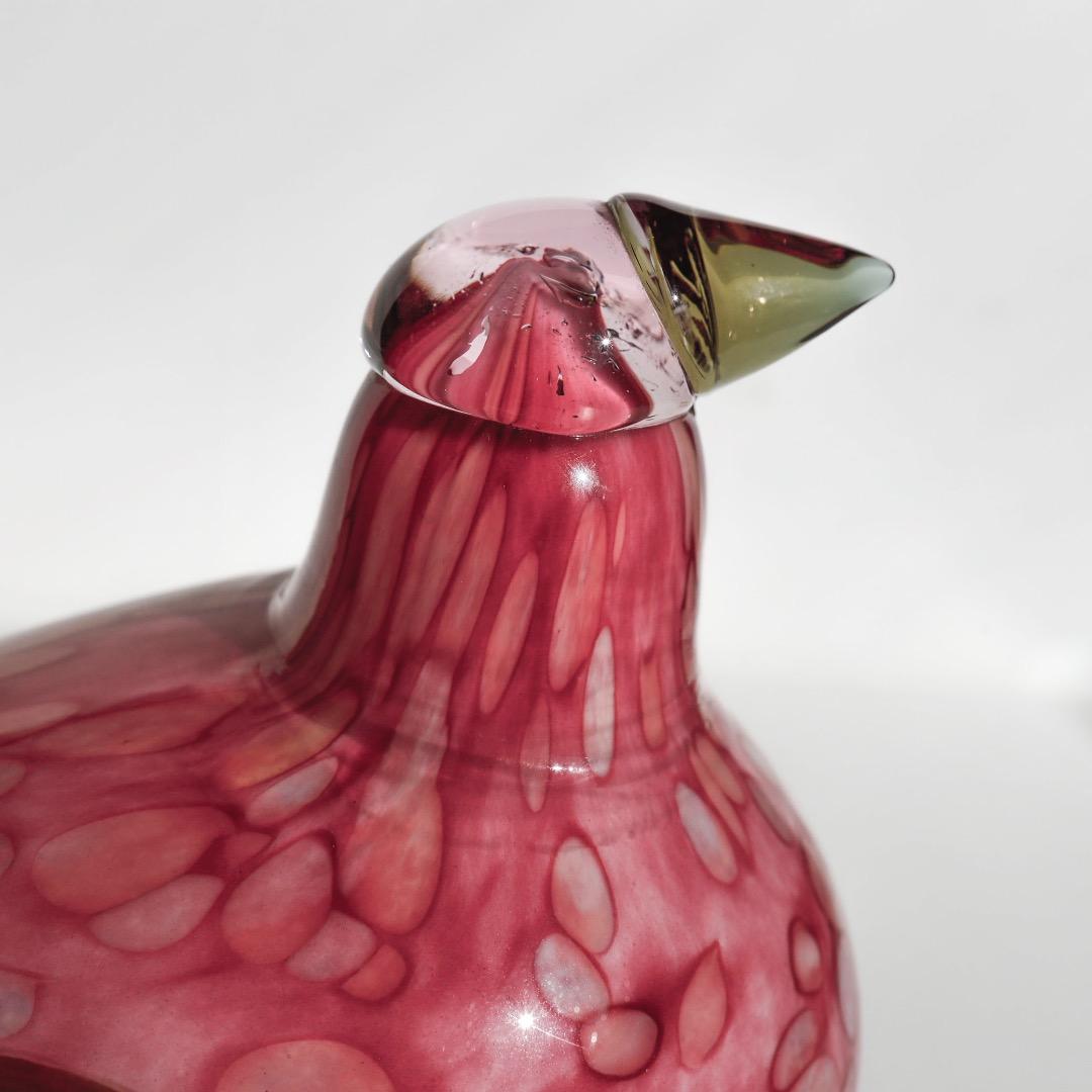 Pine Gross Beak オイバトイッカ　イッタラ　バード　