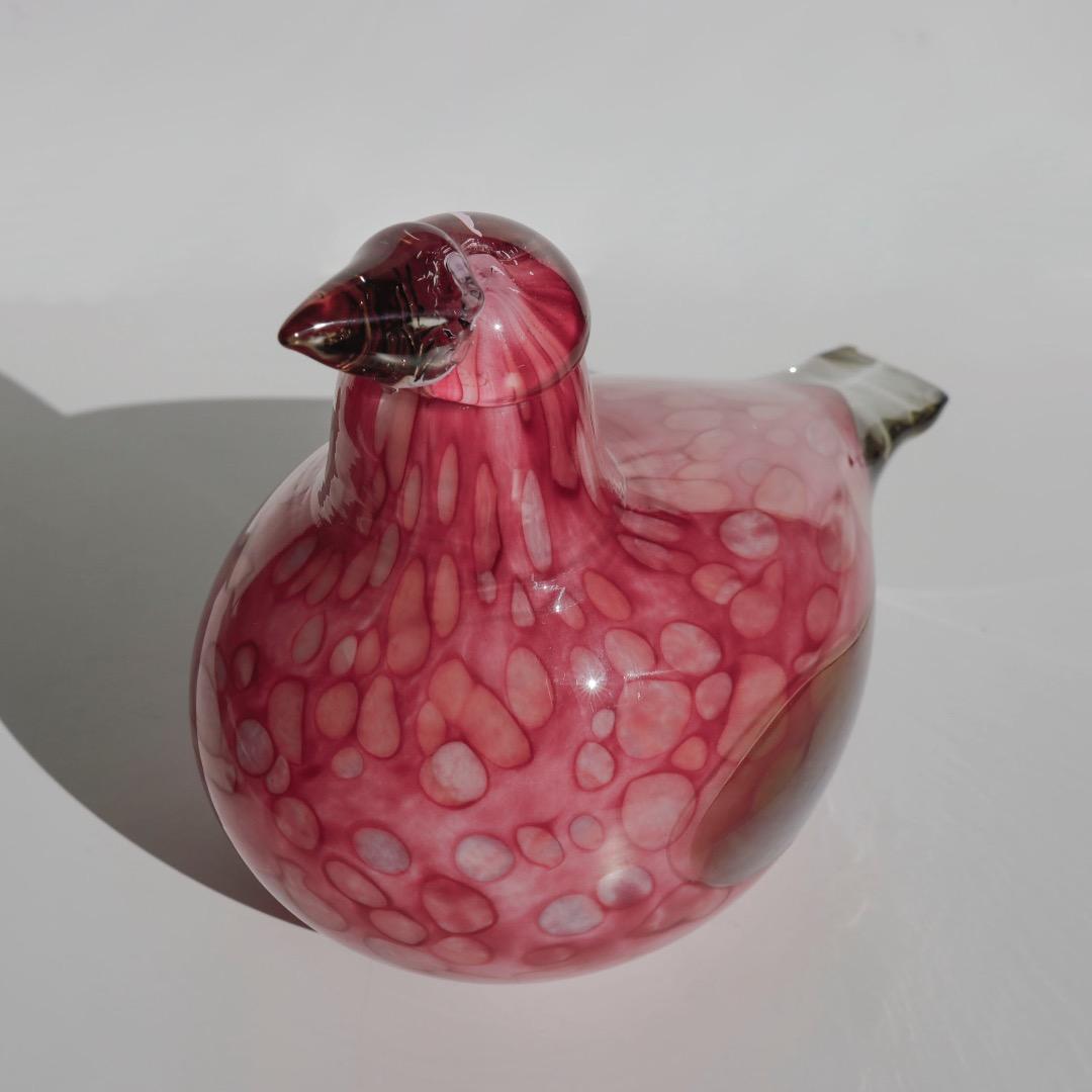 Pine Gross Beak オイバトイッカ　イッタラ　バード　