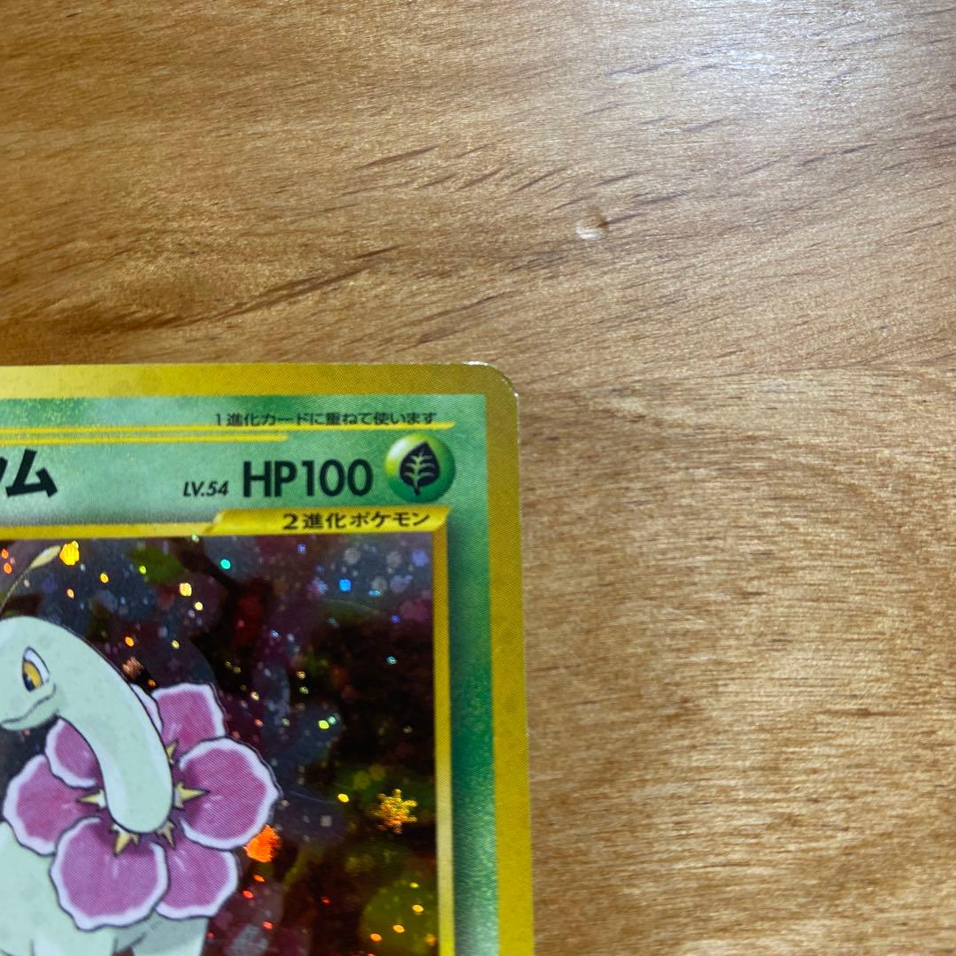 旧裏 メガニウム イントロパック☆neo - メルカリ