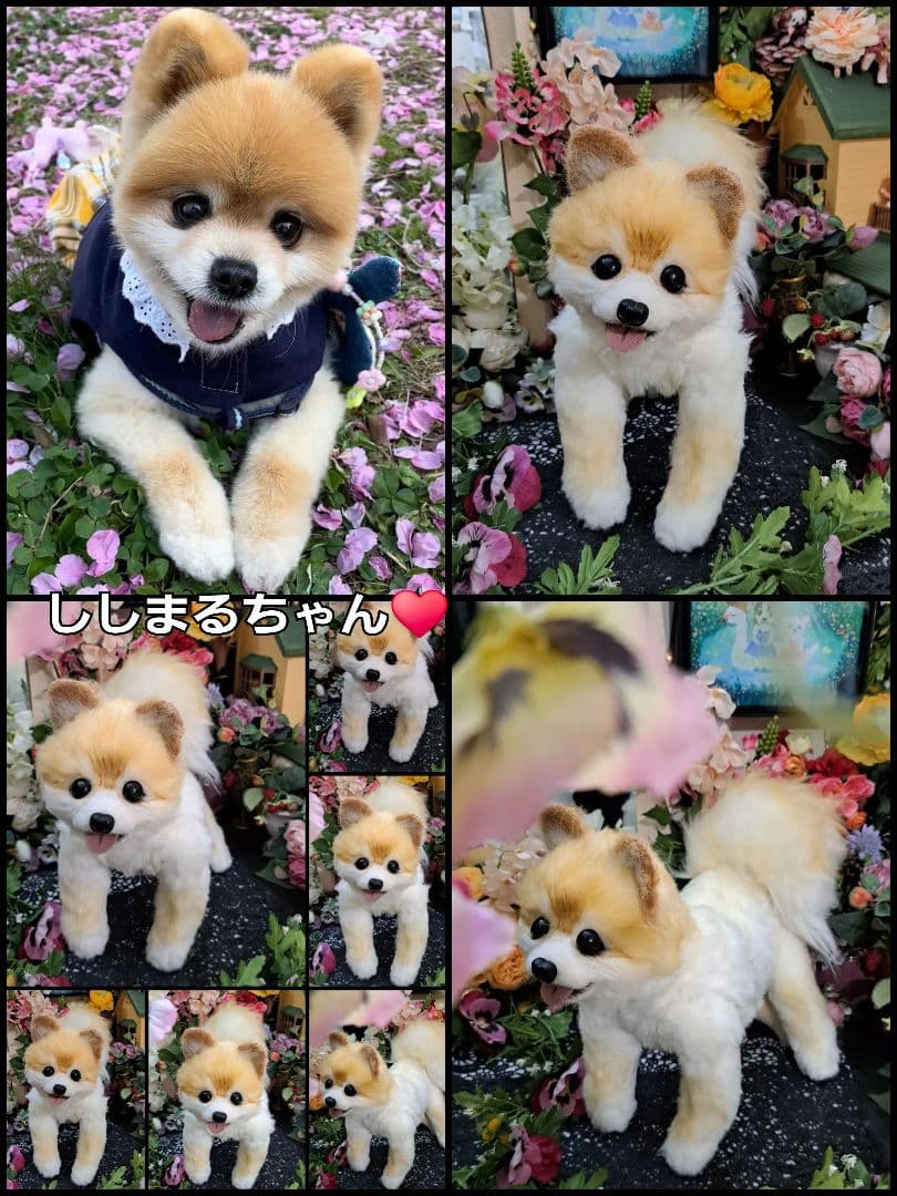 オーダー受付中♥️ 実物大 リアル 犬 ペットロス ぬいぐるみ カズコ