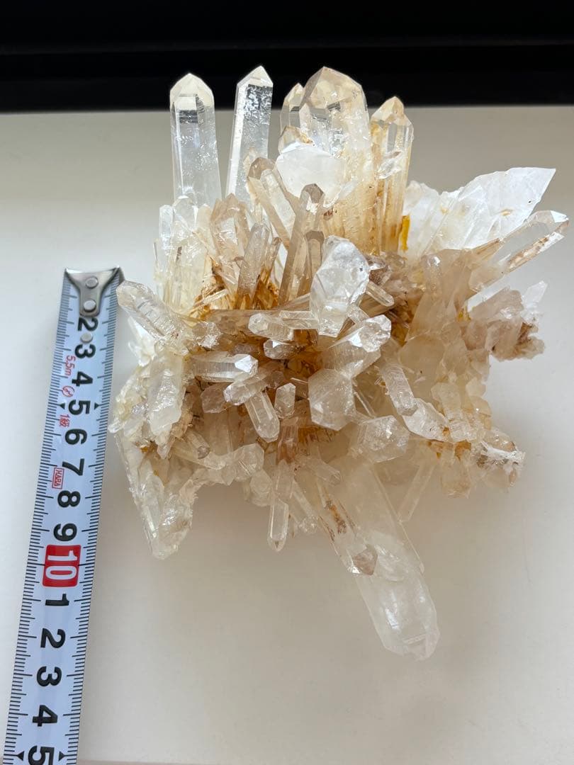 年末特価】5万円⇒3万円切り732gコロンビア産 ゴールデンヒーラー