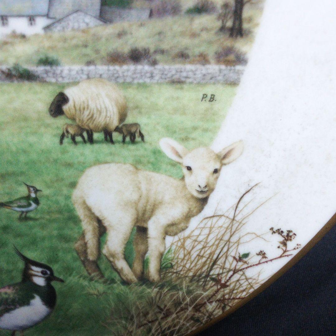 ロイヤルウースター Peter Barrett プレート