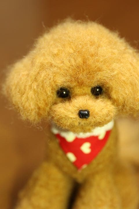 羊毛フェルト　トイプードル(レッド)