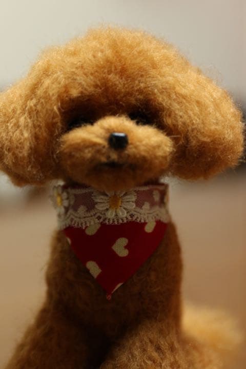 羊毛フェルト　トイプードル(レッド)