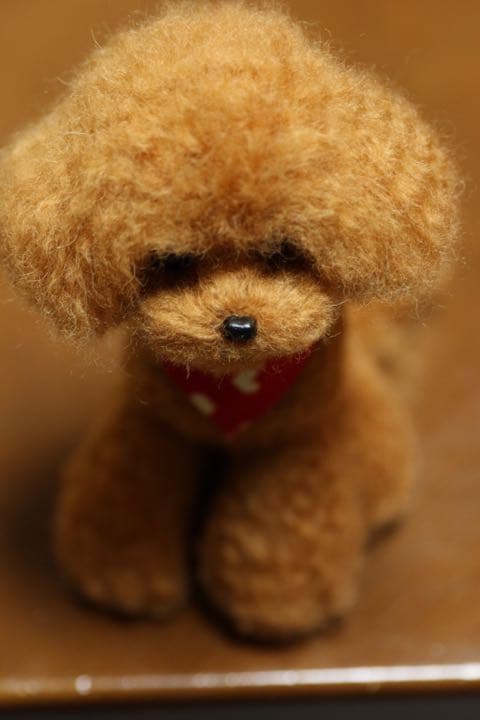 羊毛フェルト　トイプードル(レッド)