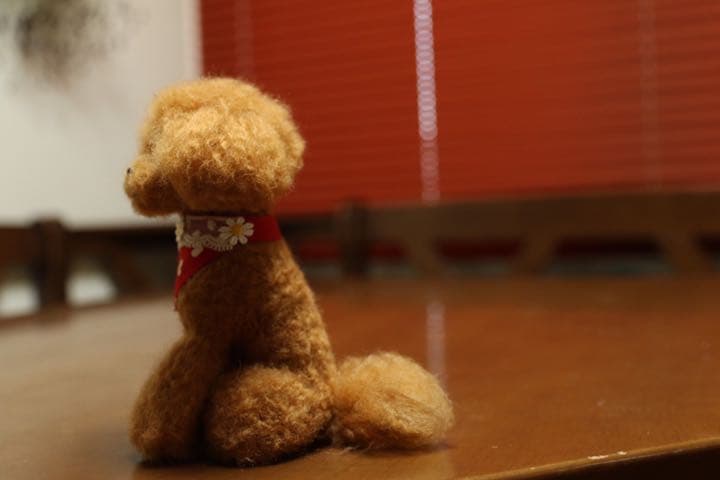 羊毛フェルト　トイプードル(レッド)