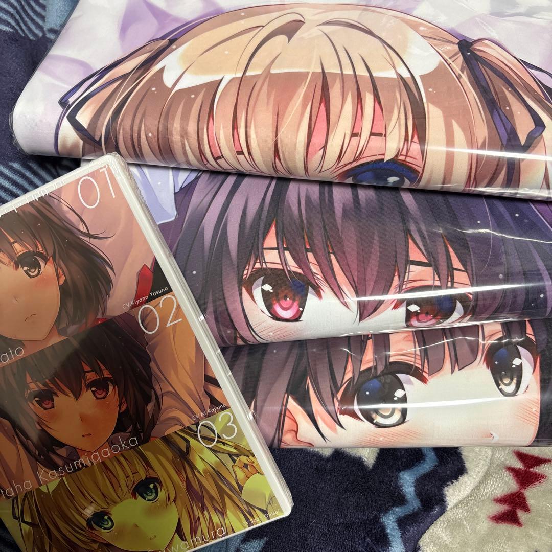 冴えない彼女の育てかた ヒロインコンプリート 抱き枕カバー BOX