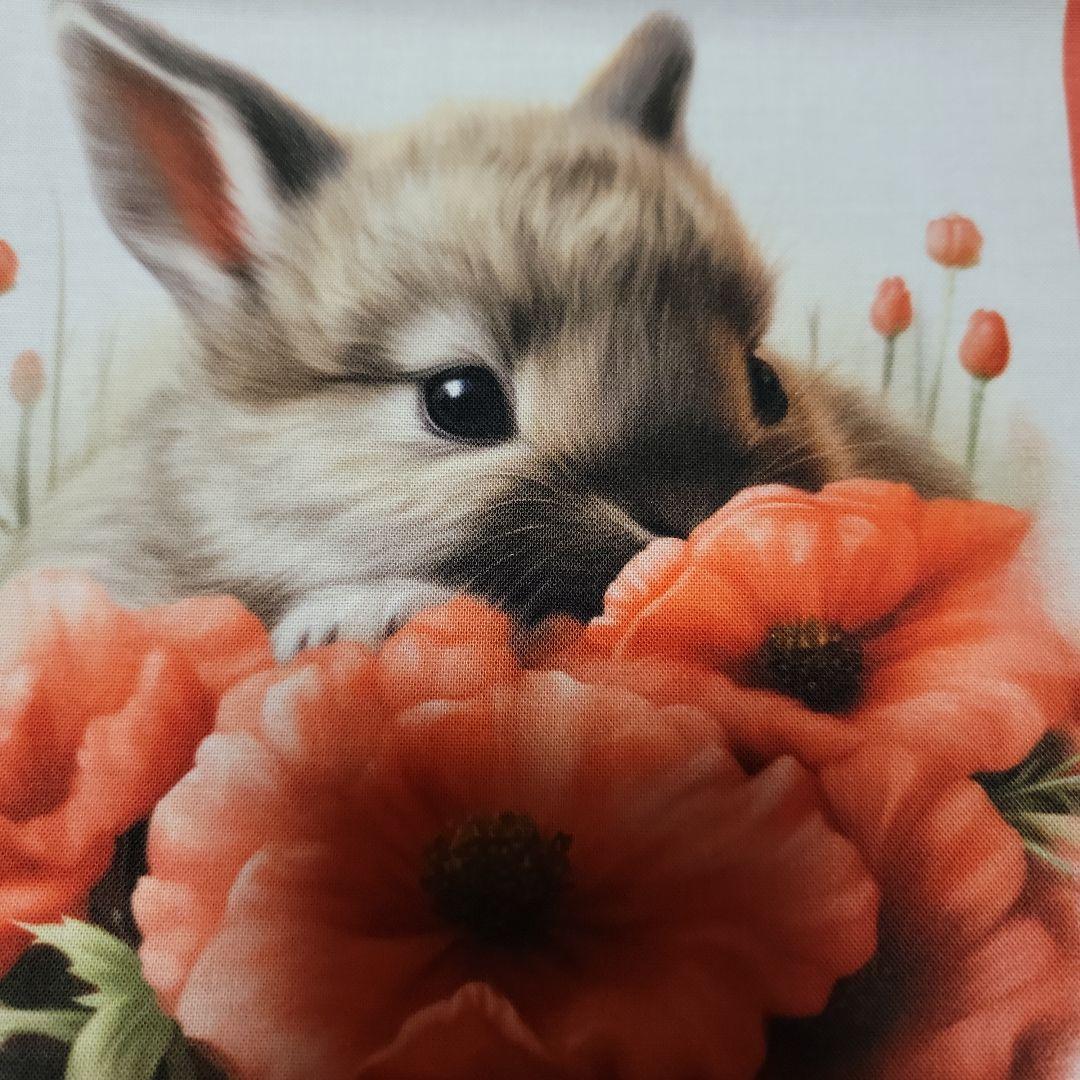 うさぎパネル生地 - メルカリ