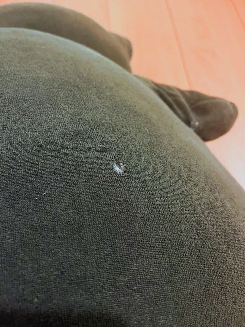 希少　ポケパークカビゴン 大きなカビゴンぬいぐるみ