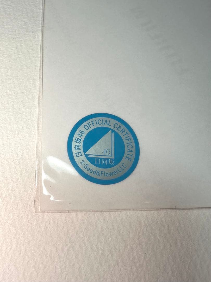 え*ん様 平尾帆夏 直筆サイン サンタ衣装 生写真 日向坂46 - メルカリ