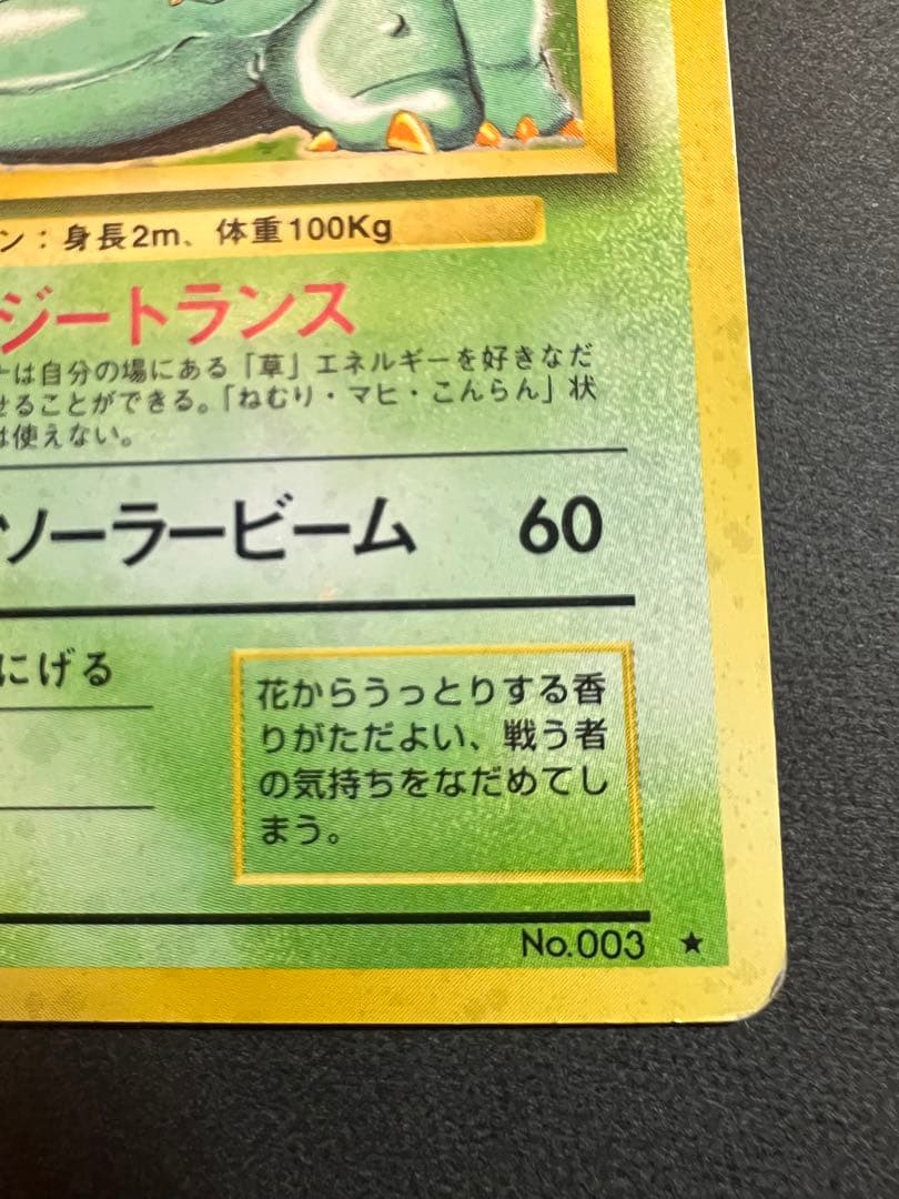 【美品❗️】フシギバナ　キラ