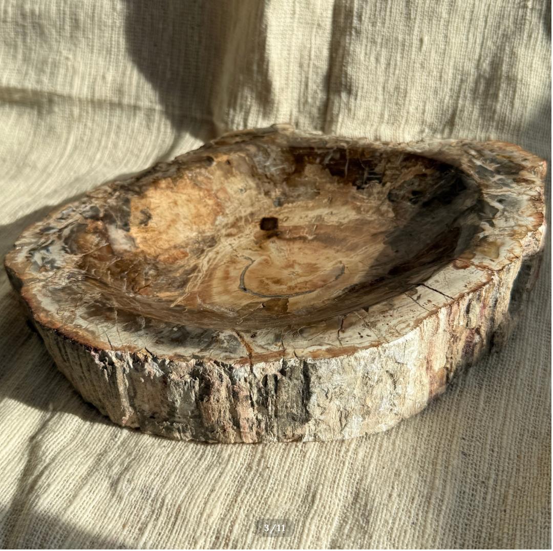 2.6kg【珪化木】ペトリファイドウッド トレイ