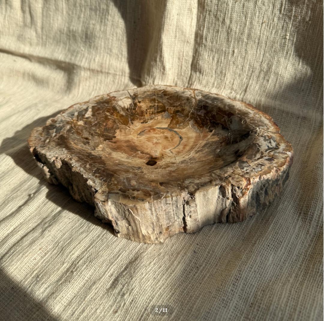 2.6kg【珪化木】ペトリファイドウッド トレイ