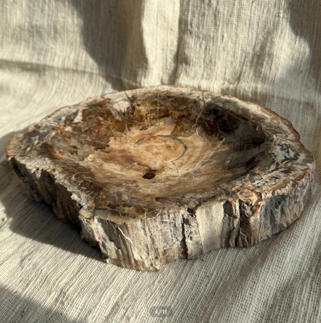 2.6kg【珪化木】ペトリファイドウッド トレイ