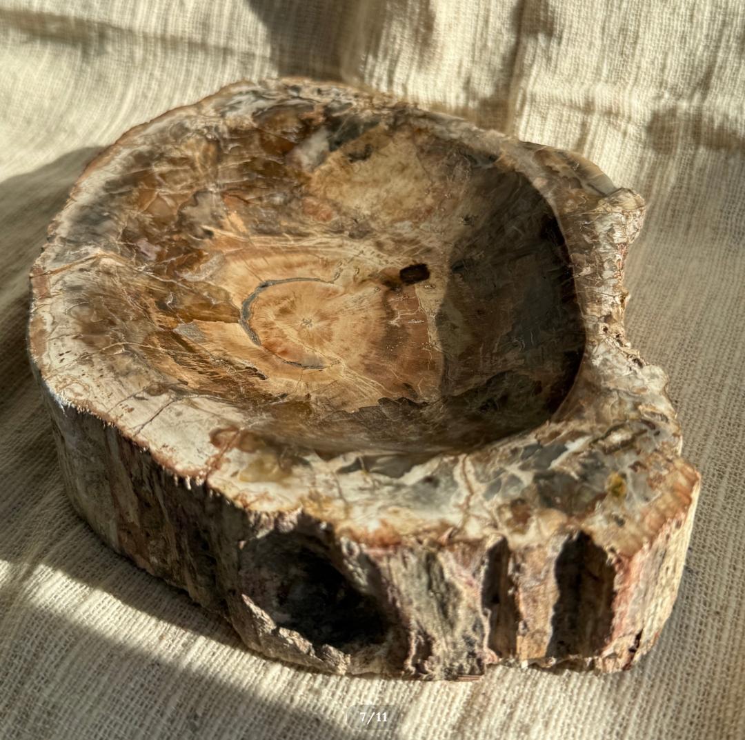 2.6kg【珪化木】ペトリファイドウッド トレイ