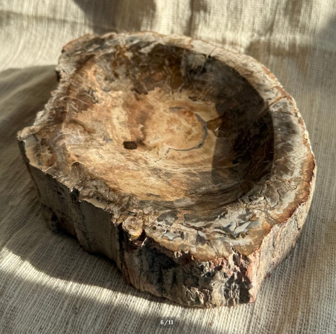 2.6kg【珪化木】ペトリファイドウッド トレイ