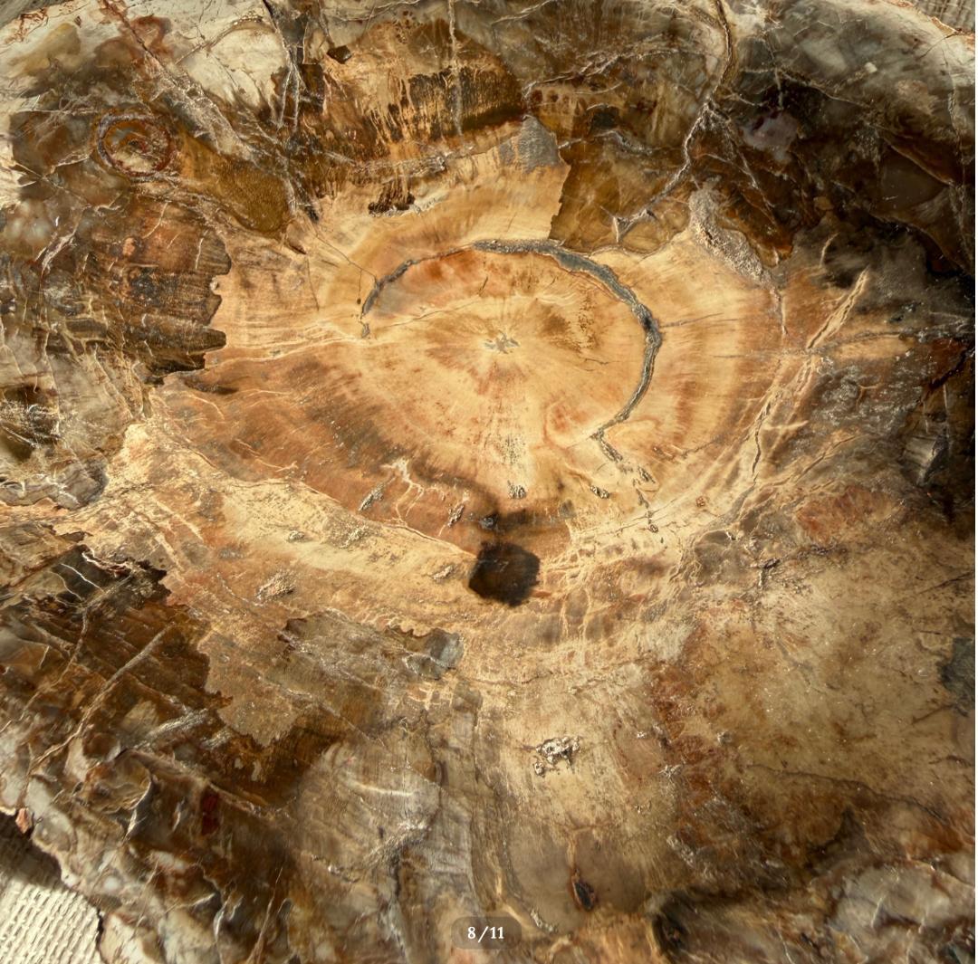 2.6kg【珪化木】ペトリファイドウッド トレイ