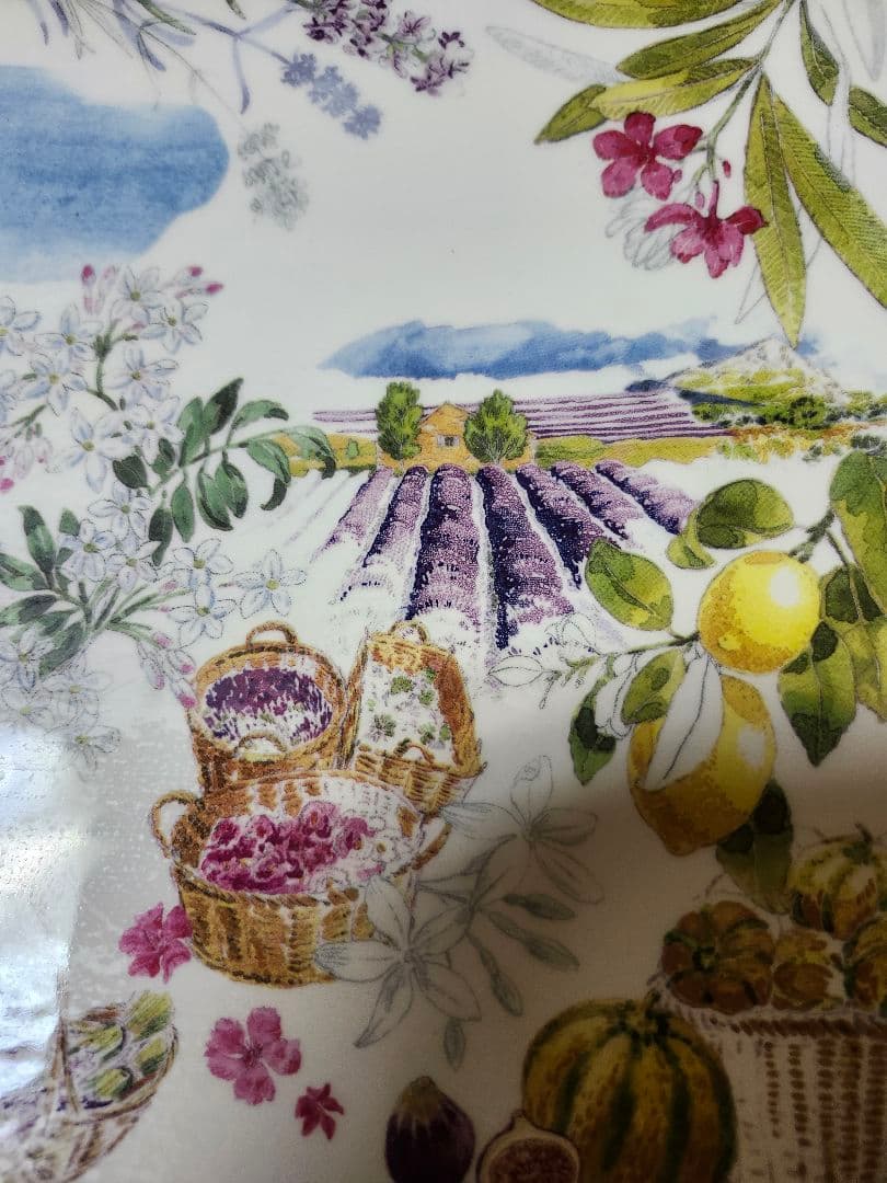 GIEN フルーツと風景のデザイン皿