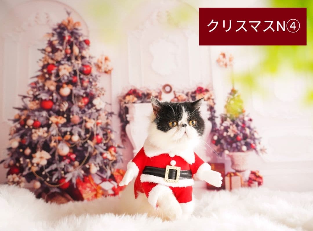 背景布【　お正月E　】サンプル　年賀状、ペット、子供撮影用　和柄　赤富士　梅の花