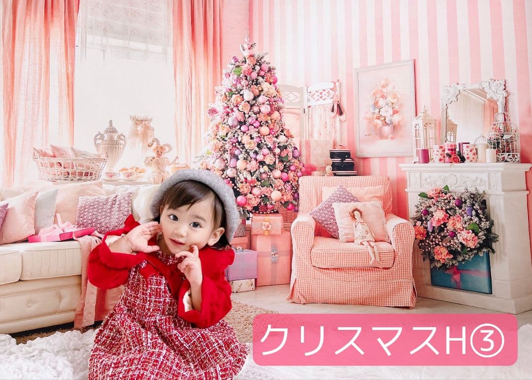 背景布【　お正月E　】サンプル　年賀状、ペット、子供撮影用　和柄　赤富士　梅の花