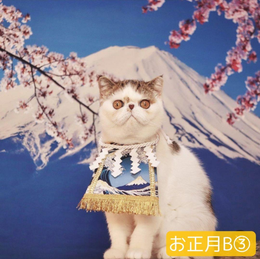 背景布【　お正月E　】サンプル　年賀状、ペット、子供撮影用　和柄　赤富士　梅の花