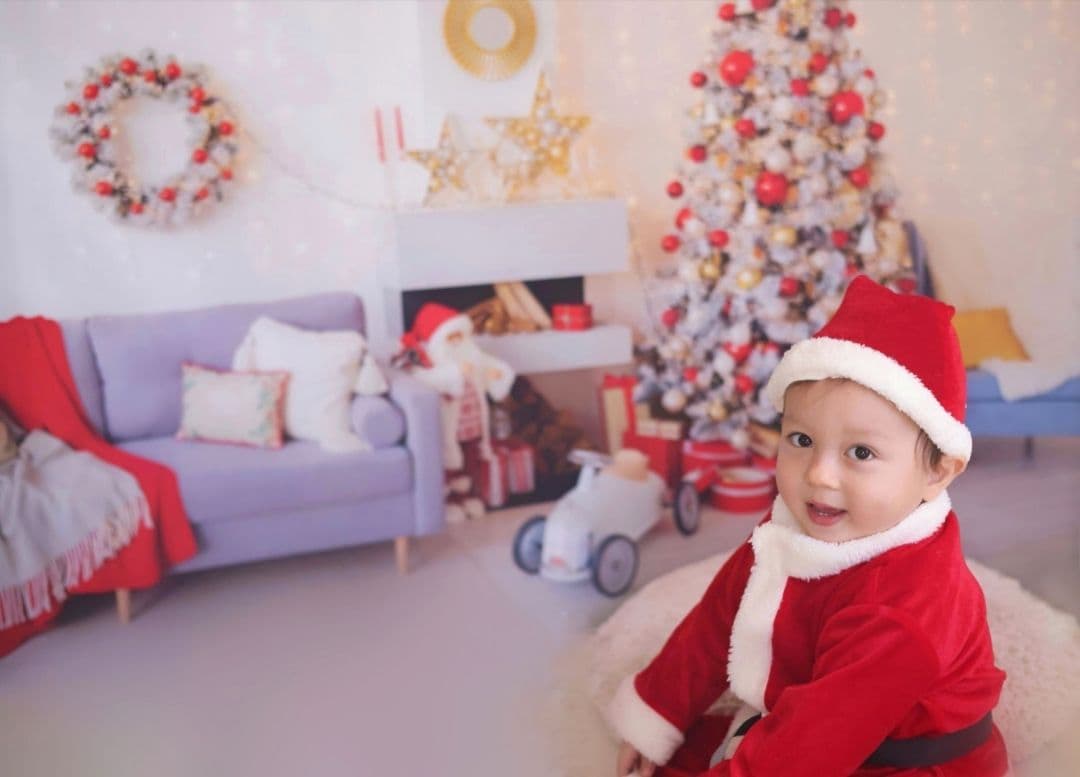 背景布【　お正月E　】サンプル　年賀状、ペット、子供撮影用　和柄　赤富士　梅の花