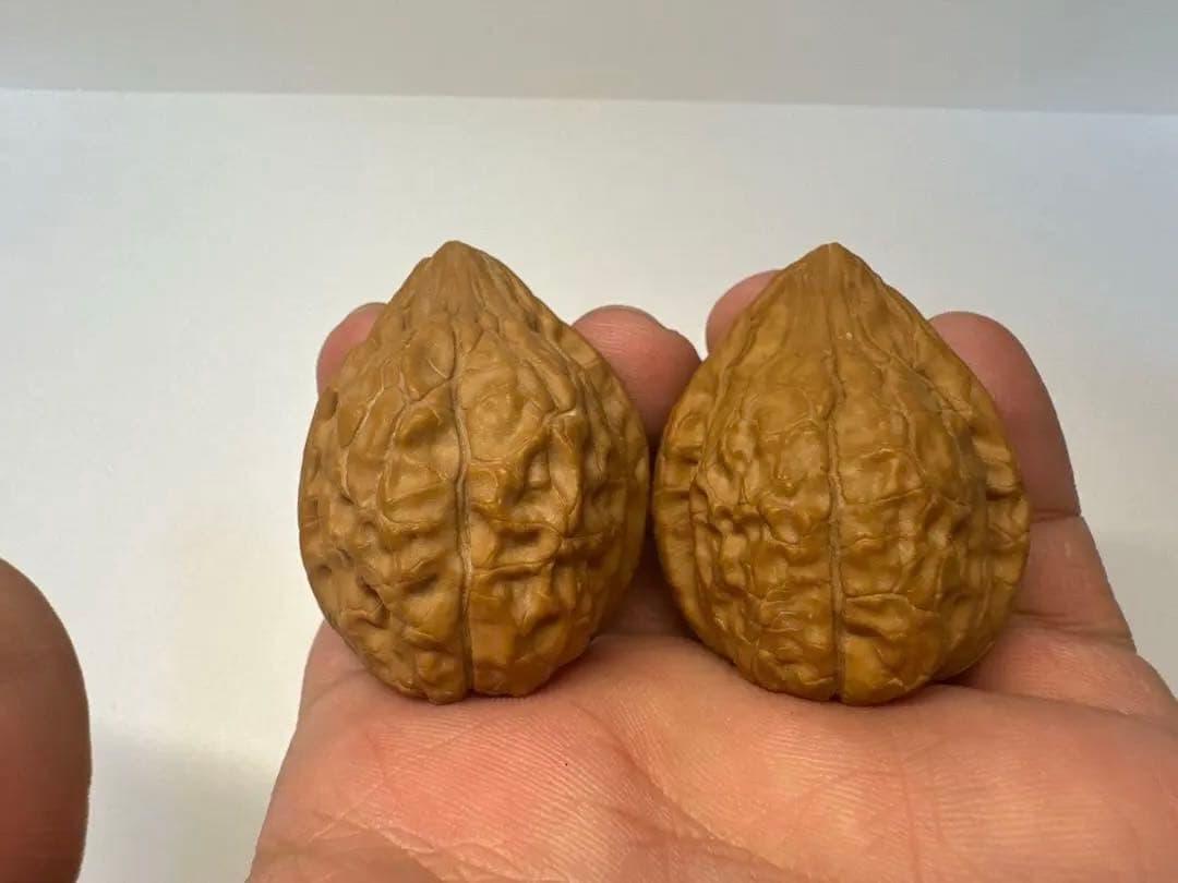 希少文玩核桃 亀甲紋