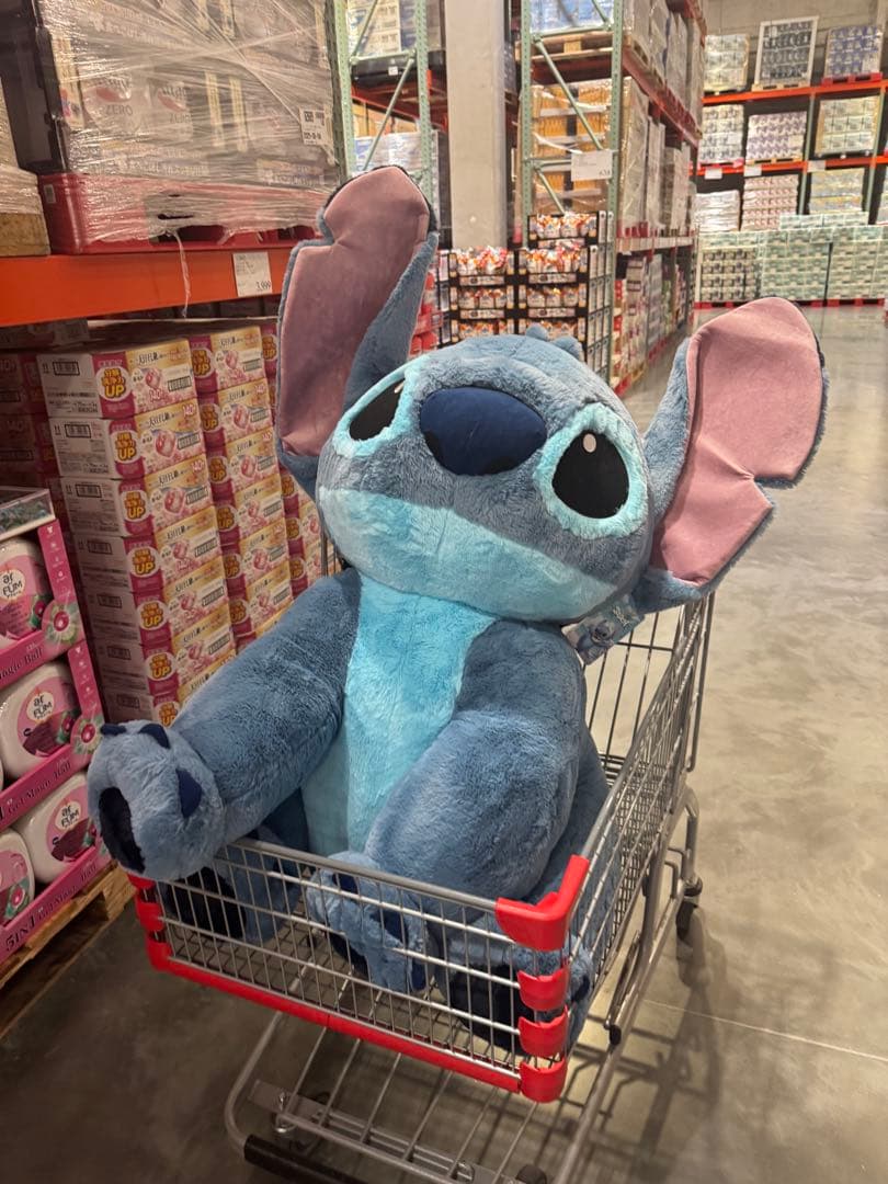 コストコ スティッチ 特大 ぬいぐるみ ブランケット入 - メルカリ