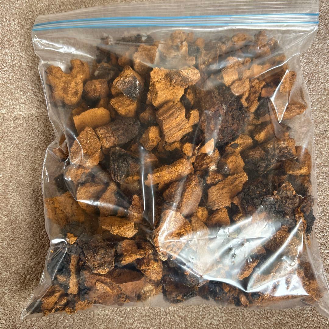 カバノアナタケ（乾燥）北海道・道東産　1.3kg