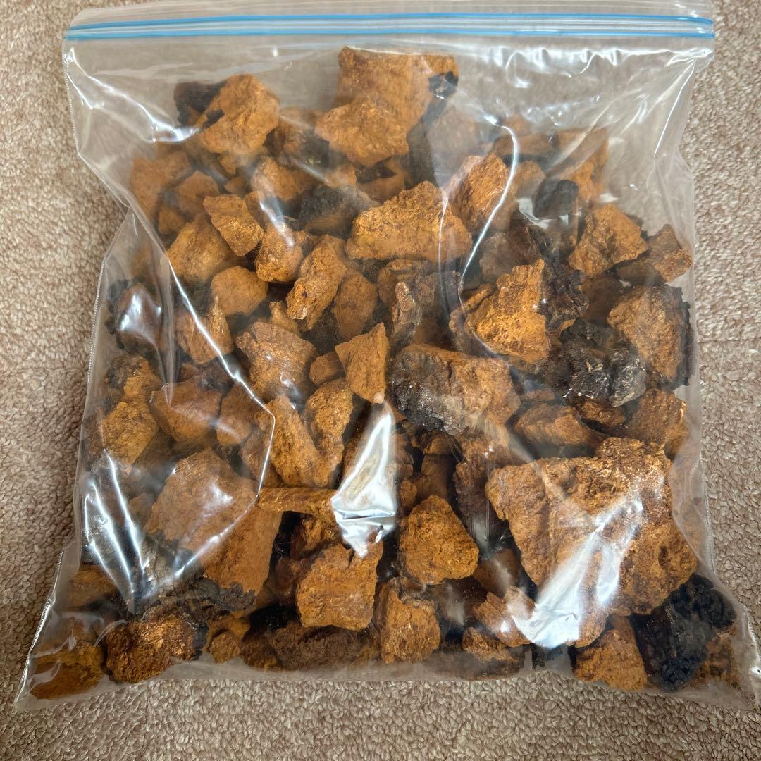 カバノアナタケ（乾燥）北海道・道東産　1.3kg