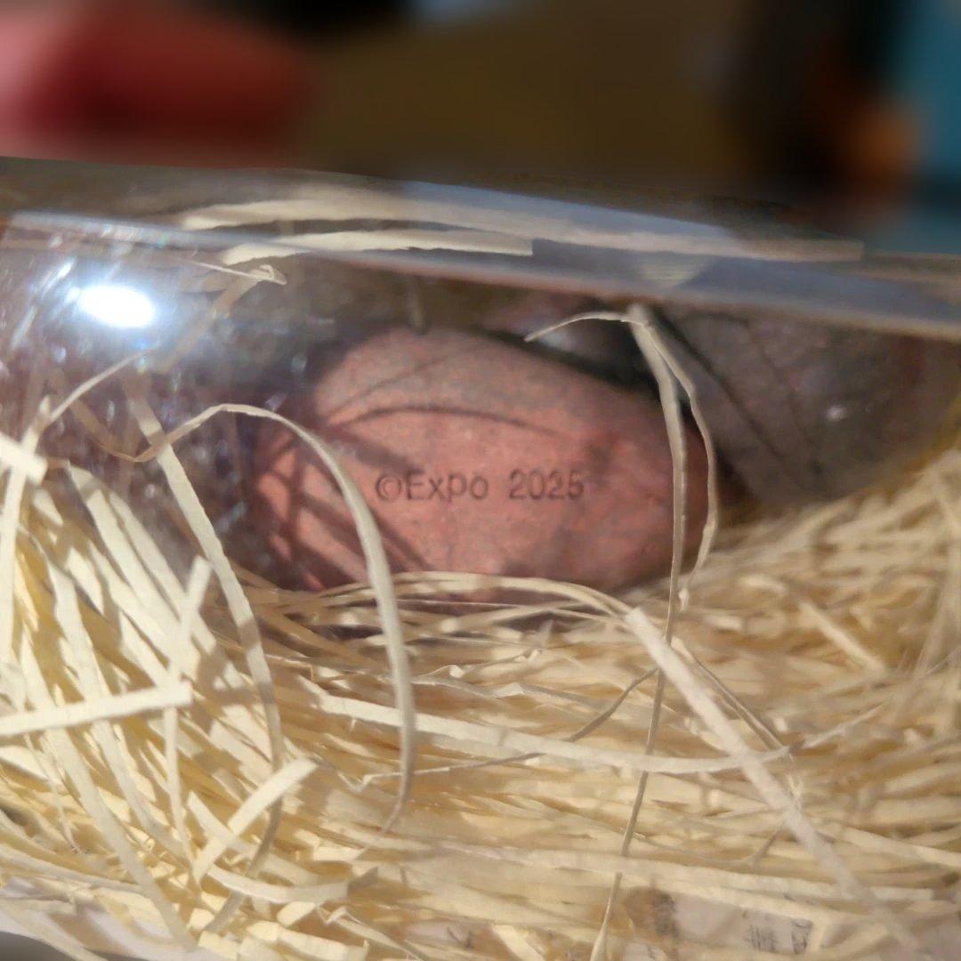 ミャクミャク　不思議な備前玉　大阪万博　大阪関西万博　コミャク　岡山　備前焼