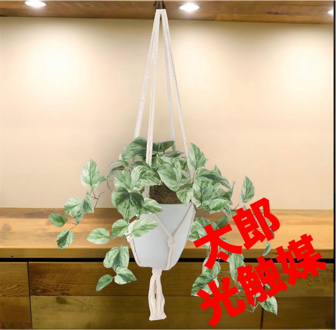 光触媒　人工観葉植物　ウォールグリーン　フェイクグリーン　壁掛けマーブルポトス4