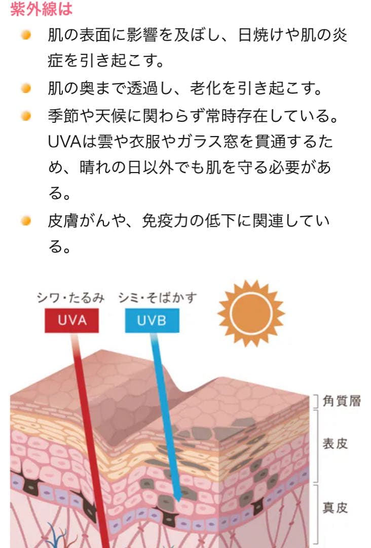 【新品・正規品】SBC MEDISPA ホワイトサプリメント 湘南美容 2箱