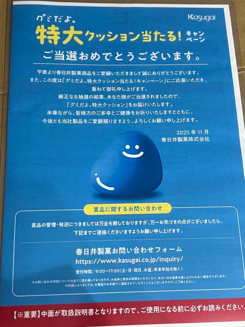 【非売品】新品　グミだよ　特大クッション　ビーズクッション　春日井製菓