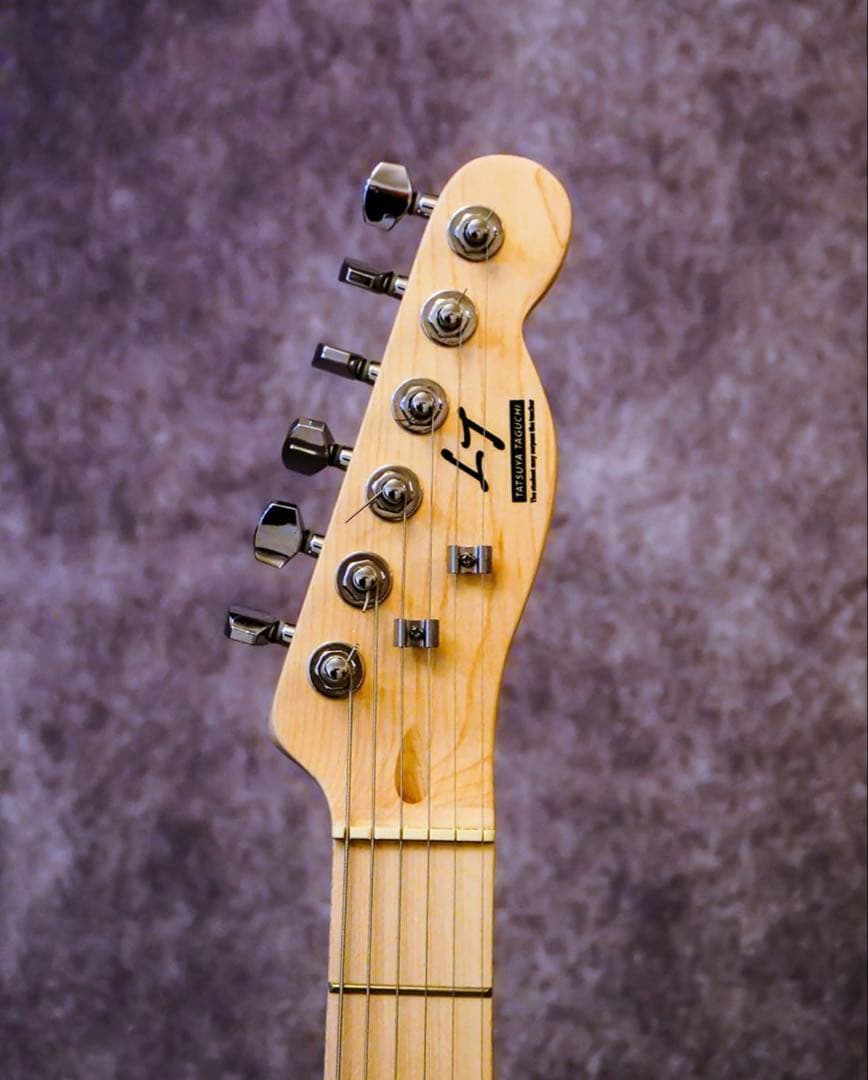 【サイン/シリアルナンバー入り/新品未使用】ギター TT 田口達也