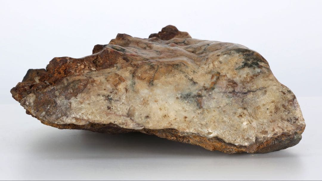 菊花石 菊紋石 大輪 紋石 台座付 3.2kg 鑑賞石 原石 自然石 美石 水石