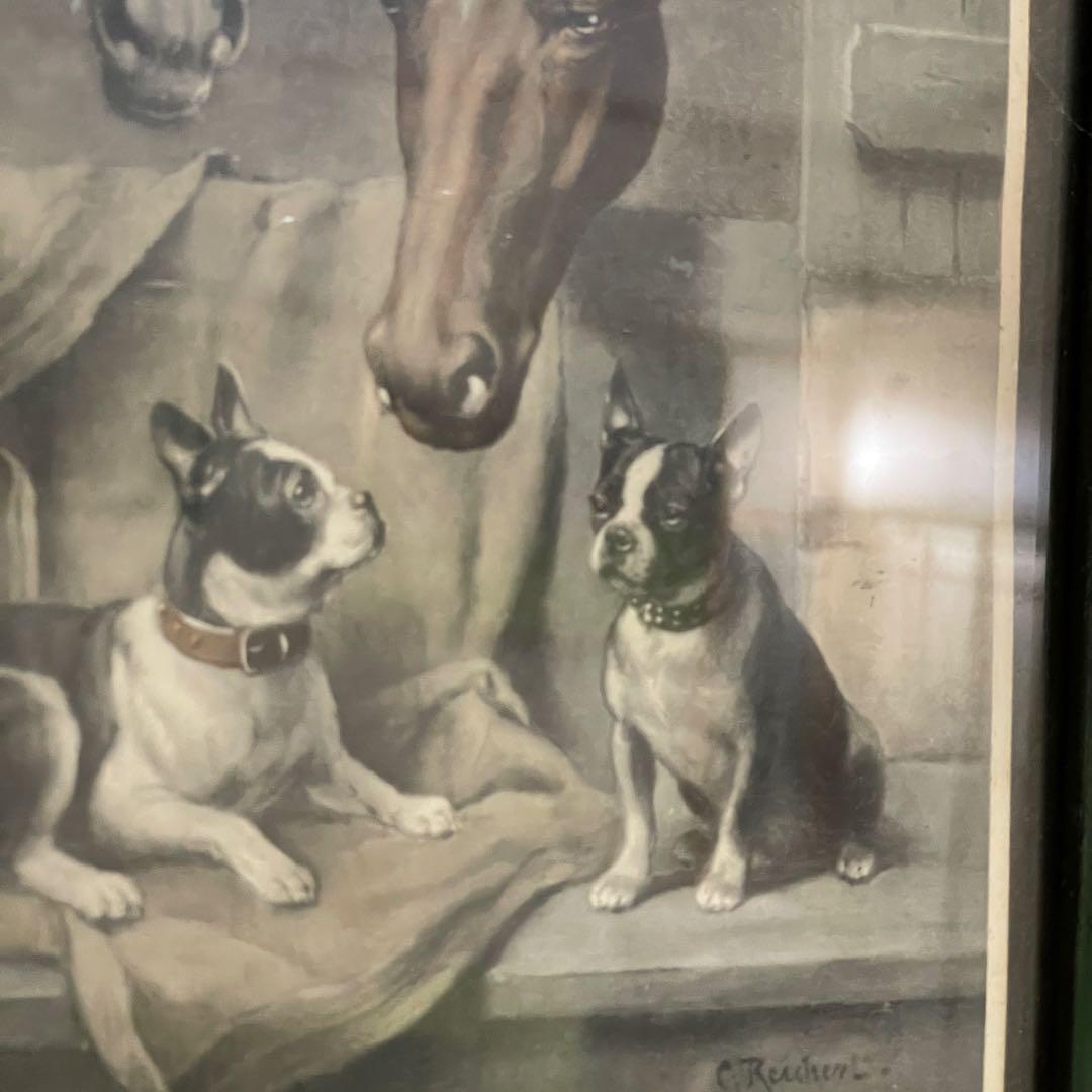 イギリス 動物 銅版画 カラー 約27cm x 28.8cm アンティーク