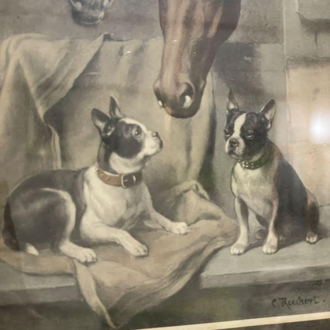 イギリス 動物 銅版画 カラー 約27cm x 28.8cm アンティーク