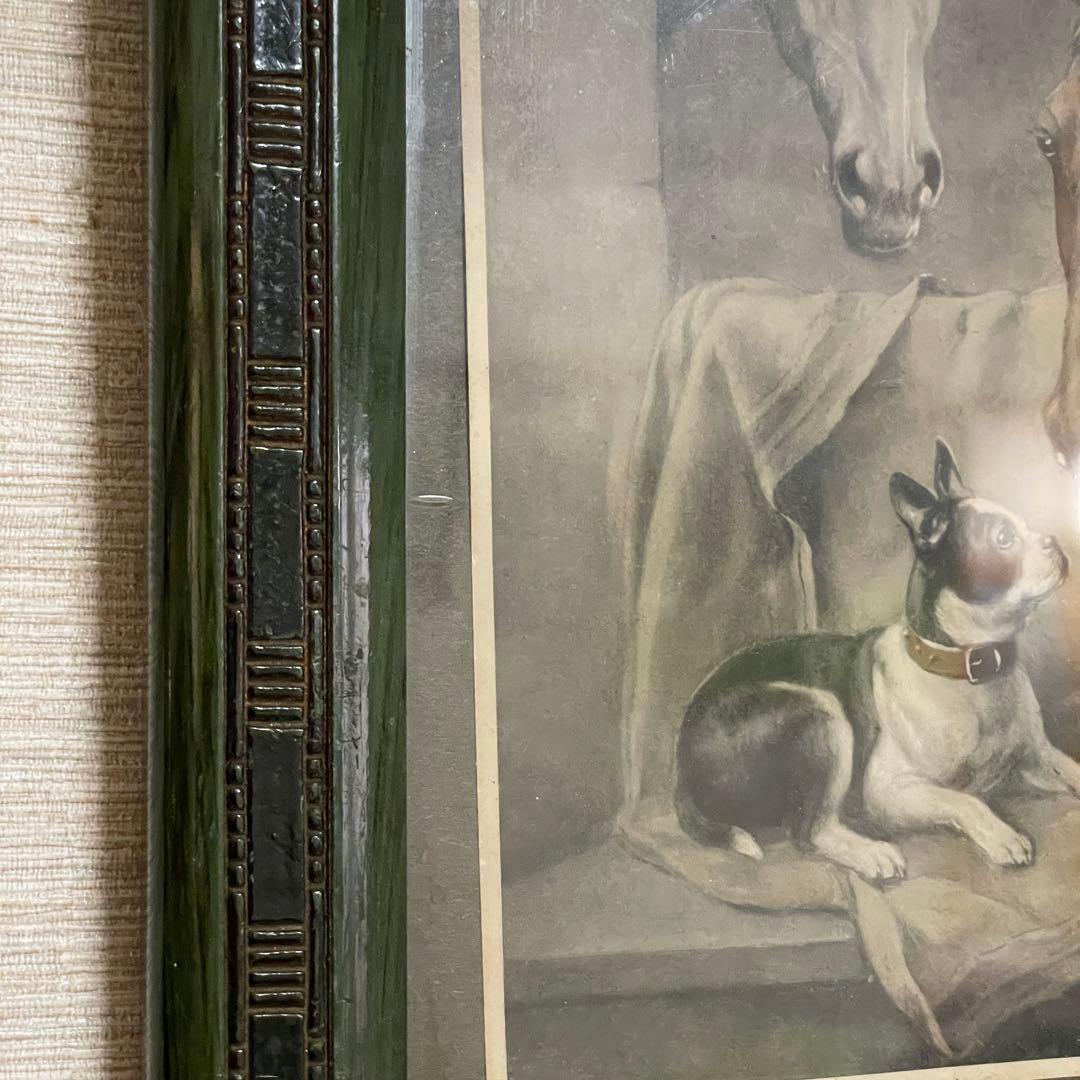 イギリス 動物 銅版画 カラー 約27cm x 28.8cm アンティーク