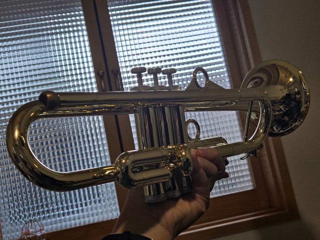 pTrumpet Hytech トランペット本体 ケース付き