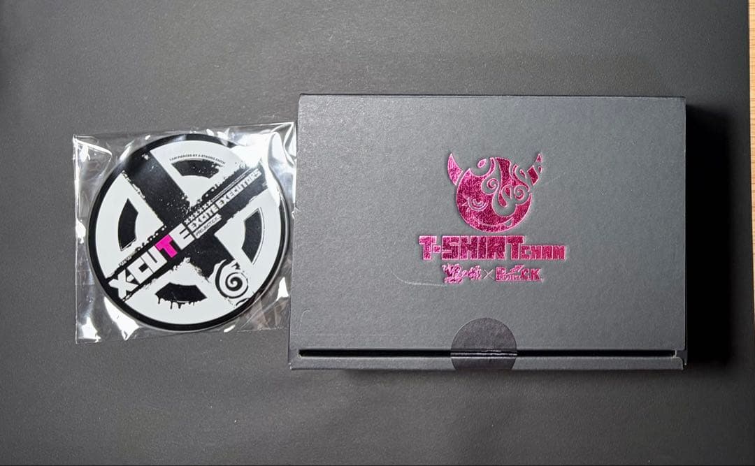 ガレージキット『Tシャツちゃん』