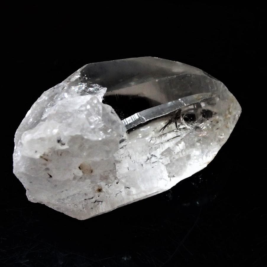 値下しました！ティップリン産ポイント-38-1