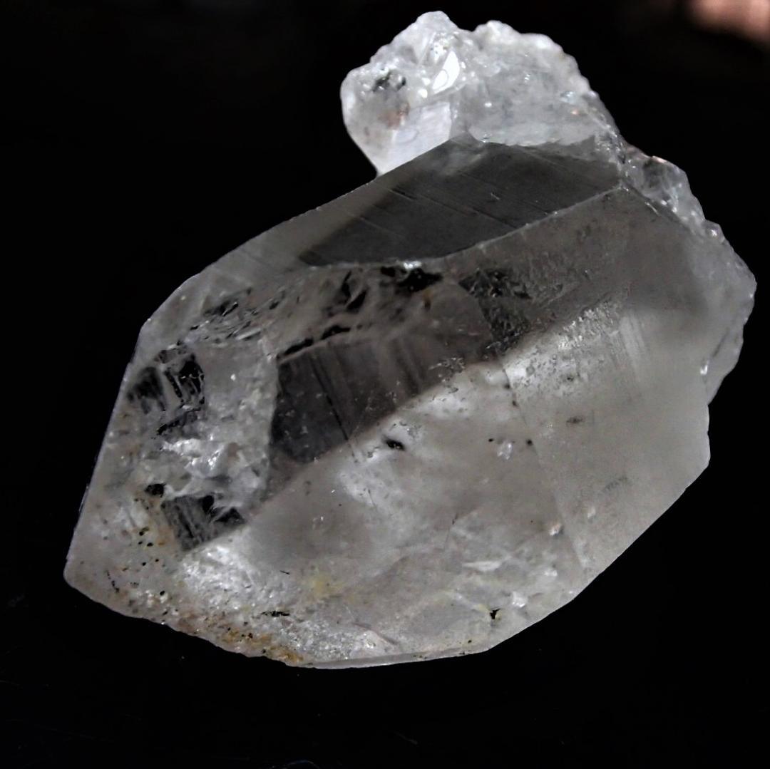 値下しました！ティップリン産ポイント-38-1