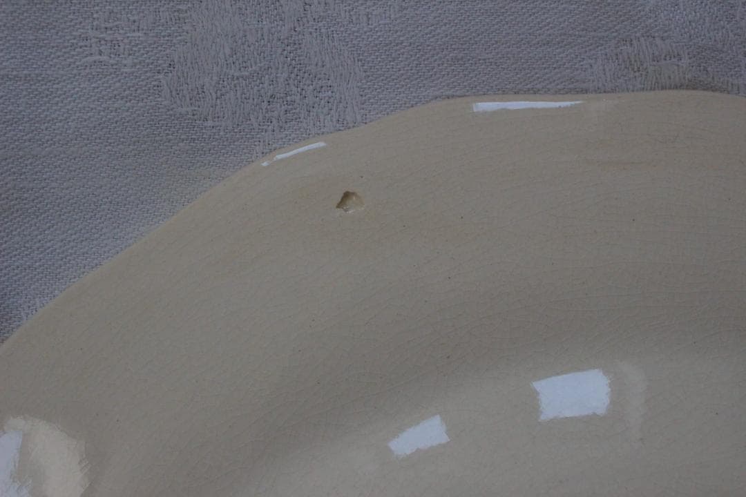 2枚セット　D・サルグミンヌ 花リムアイボリー25cm