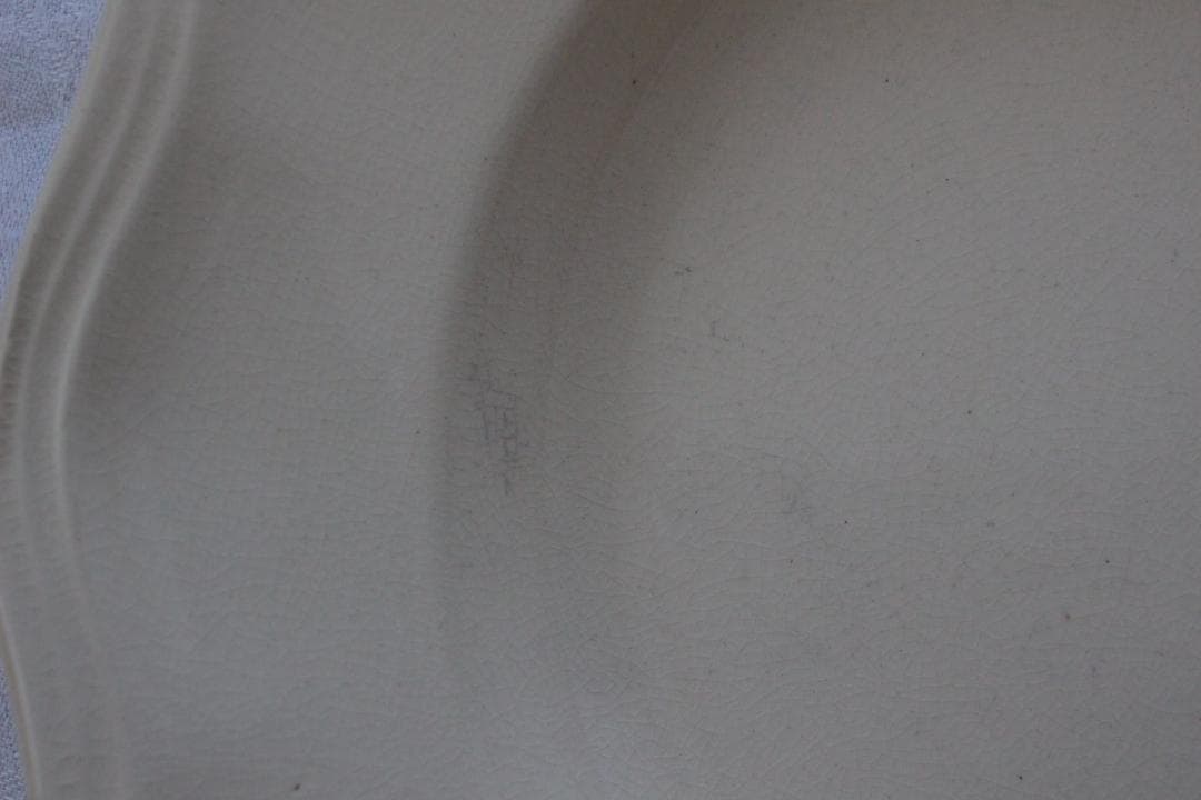 2枚セット　D・サルグミンヌ 花リムアイボリー25cm