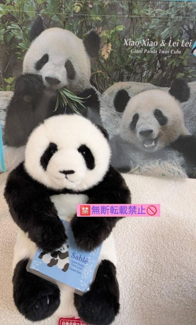 上野動物園 シャオシャオ&レイレイ ミニ抱っこぬいぐるみ - メルカリ