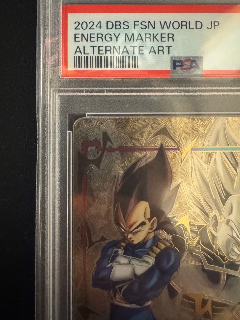 2024 DBS FSN WORLDJP エネルギーマーカー オルタネートアート